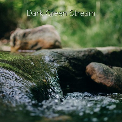 アルバム/Dark Green Stream/Palette Clover