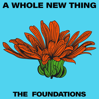 アルバム/A Whole New Thing/The Foundations
