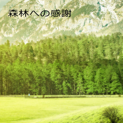アルバム/森林への感謝/からいぽ