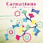 + − Wonder/Carnations