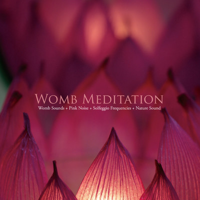 アルバム/4つのピュアヒーリングをMIXした超瞑想系リラクゼーションアルバム 〜 ウームメディテーション | WOMB MEDITATION/VAGALLY VAKANS