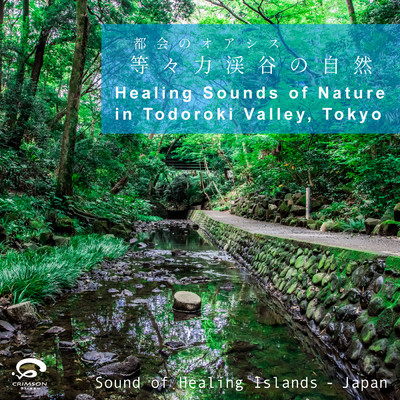 ゴルフ橋付近の激しい水流 (自然音)/Sound of Healing Islands - Japan