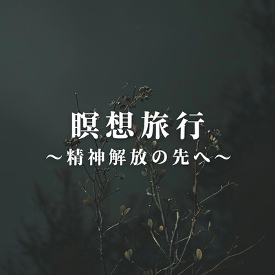 アルバム/瞑想旅行 〜精神解放の先へ〜/Relax α Wave