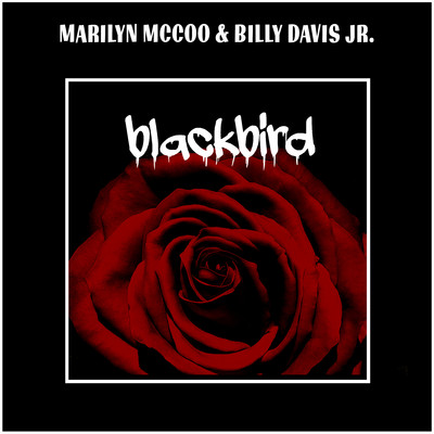 シングル/Blackbird/Marilyn McCoo & Billy Davis Jr.