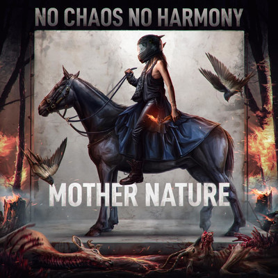 No Chaos No Harmony