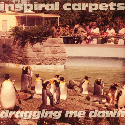 アルバム/Dragging Me Down/Inspiral Carpets