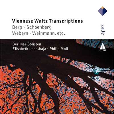 アルバム/Wiener G'schichten [Viennese Tales]/Berliner Solisten