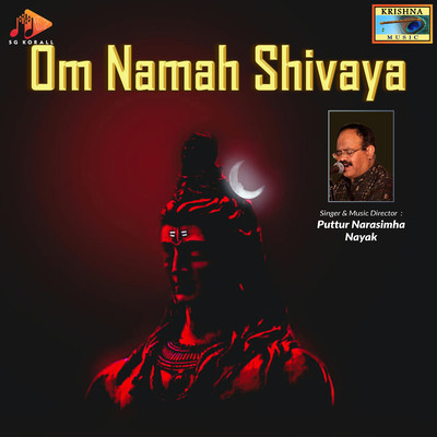 シングル/Om Namah Shivaya/Puttur Narasimha Nayak