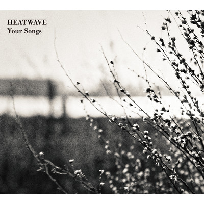 アルバム/Your Songs/HEATWAVE