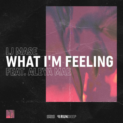What I'm Feeling (feat. Aleya Mae)/LJ Mase