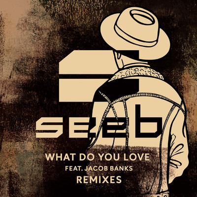 What Do You Love (featuring Jacob Banks／SWIING Remix)/Seeb