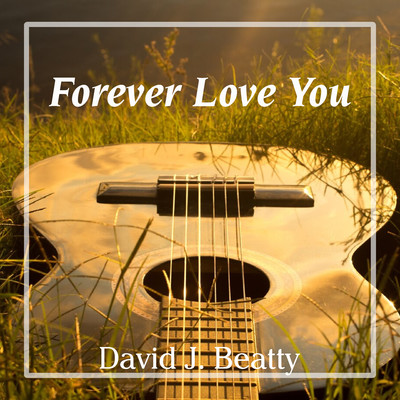 Full Love  (Guitar Beat)/David J. Beatty