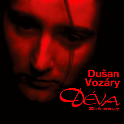 Dusan Vozary