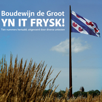 Boudewijn De Groot Yn It Frysk！/Various Artists