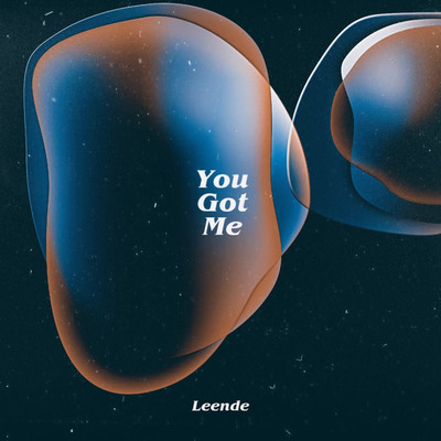 シングル/You Got Me/Leende
