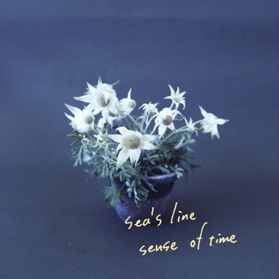 アルバム/sense of time/sea's line
