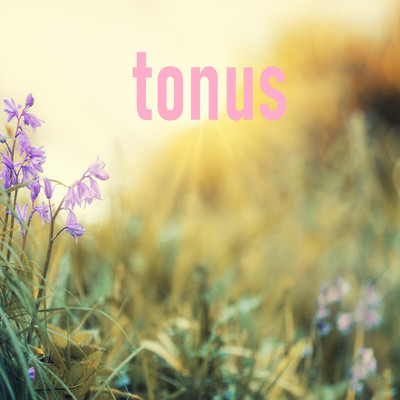 アルバム/tonus/Statusquarterman