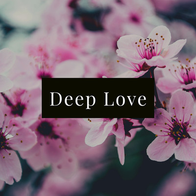 アルバム/Deep Love/LISA