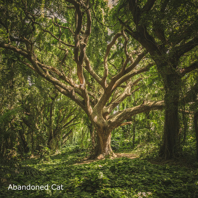 Tree/Abandoned Cat