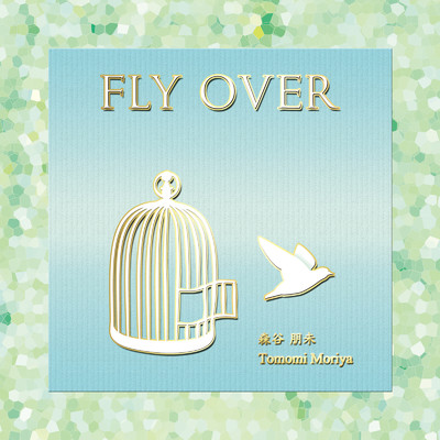 シングル/FLY OVER/Tomomi Moriya