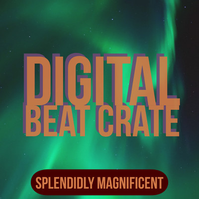 シングル/Splendidly Magnificent/Digital Beat Crate
