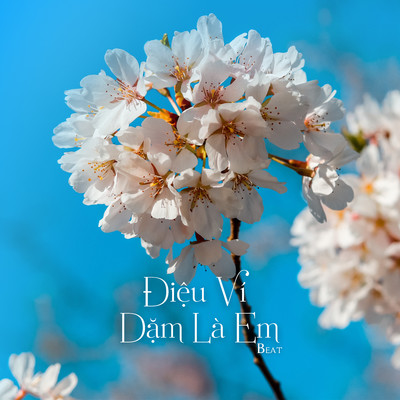 Dieu Vi Dam La Em (Beat)/NS Records