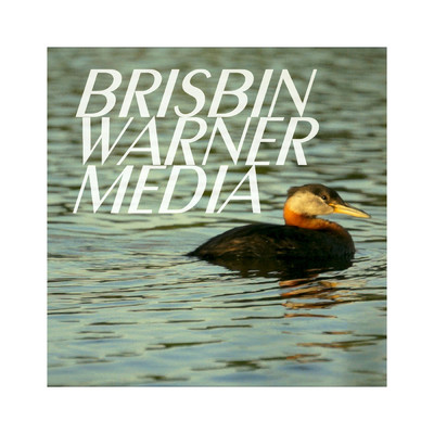 Brisbin Warner Media