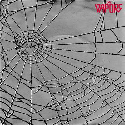 アルバム/Spiders/The Vapors
