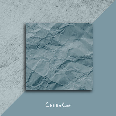 City Light/Chillin Cat
