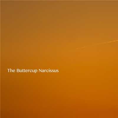 The Buttercup Narcissus/Thousand Wave