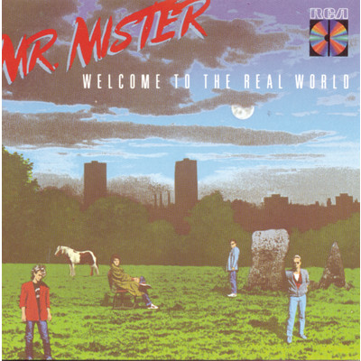 Welcome To The Real World/Mr. Mister