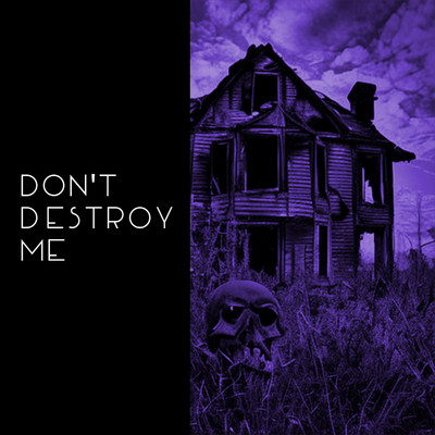 アルバム/DON'T DESTROY ME/I.S.E.