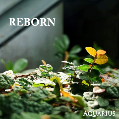 シングル/REBORN/Aquarius