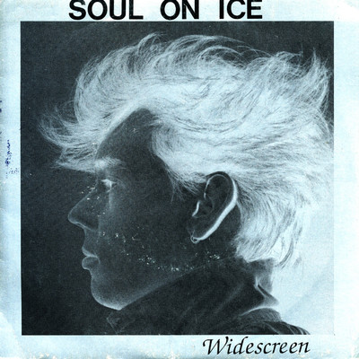 シングル/The Voice/Soul On Ice