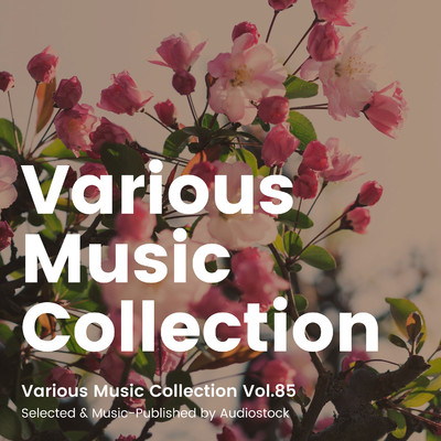 アルバム/Various Music Collection Vol.85 -Selected & Music-Published by Audiostock-/Various Artists