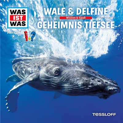 Wale & Delfine - Teil 14/Was Ist Was