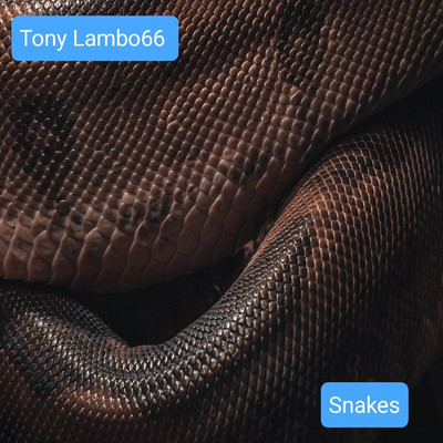Snakes/Tony Lambo66