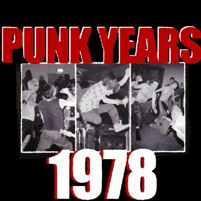 The Punk Years : 1978/Various Artists