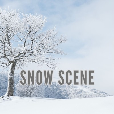 アルバム/Snow scene/2strings