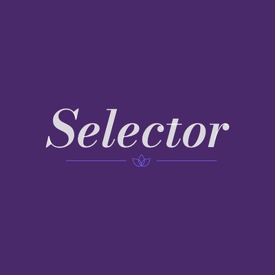 Selector/Flash Box