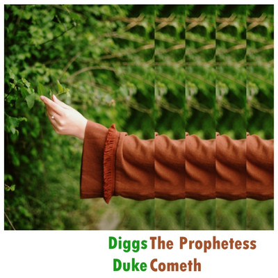アルバム/The Prophetess Cometh/Diggs Duke
