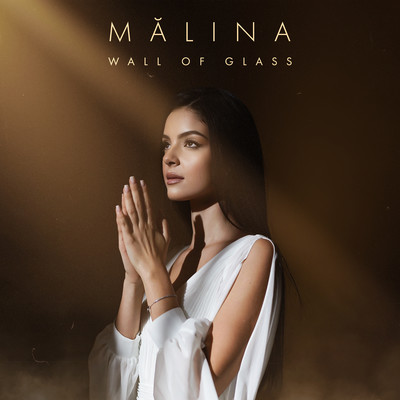 Wall of Glass/MALINA