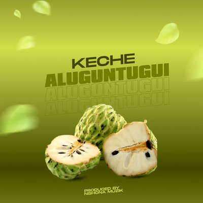 シングル/Aluguntugui (life is Tasty)/Keche