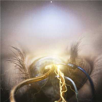 Perpetual Notion/THE AGONIST