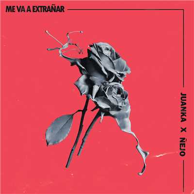 Me Va A Extranar/Juanka／Nejo