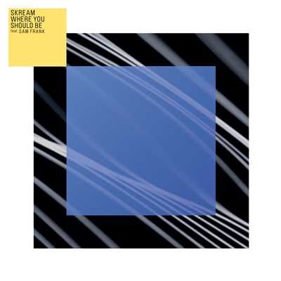Where You Should Be (feat. Sam Frank) [Seiji Remix]/Skream