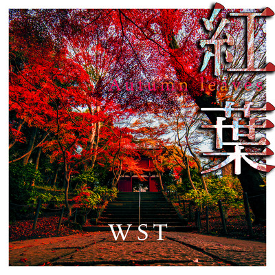 シングル/紅葉/WST