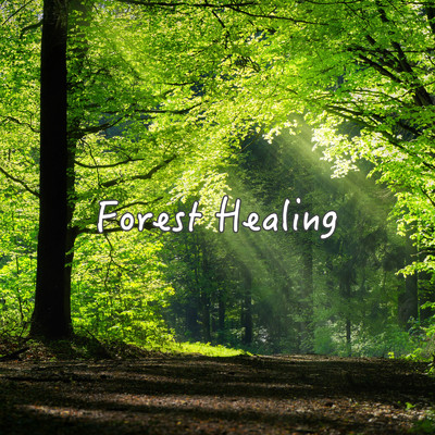 Forest Healing 瞑想音楽 綺麗なピアノと森の音で癒される 睡眠導入用 瞑想用 ヨガ用 作業集中用 森の音と川のせせらぎのASMR入り/DJ Meditation Lab. 禅