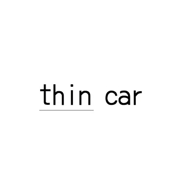 君が神/thin car