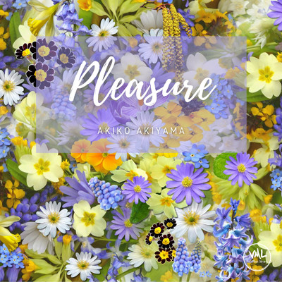 アルバム/Pleasure/Akiko Akiyama